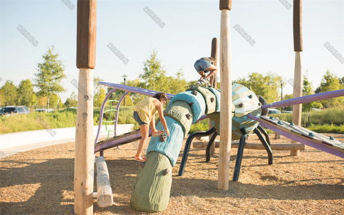 非标定制木质攀爬设备 打造大型户外儿童游乐新天地
